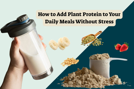 How to Add Plant Protein to Your Daily Meals Without Stress
